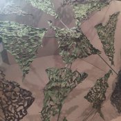 Маскувальна парасолька