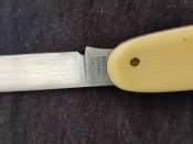 IMG_20240616_165908.jpg