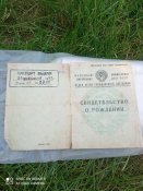 Свідоцтво про народження на ім'я Путіна Анна Дмитрівна 1943 р .