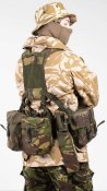 Frog Bayonet ,DPM,IRR,PLCE Чохол для піхв (ножен) штикножа.  (Великобританія).