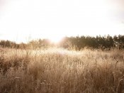 DSCN3138.jpg
