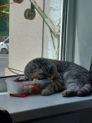 IMG_20240625_070809_237.jpg