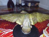 IMG_6287.jpeg