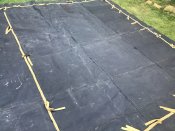 IMG_2193.jpeg