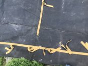 IMG_2189.jpeg