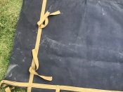 IMG_2186.jpeg