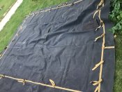 IMG_2184.jpeg