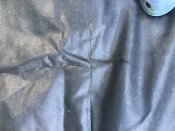 IMG_2176.jpeg