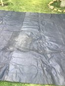 IMG_2167.jpeg