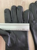 IMG_5395.JPEG