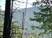 IMG_0053.JPEG