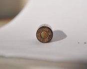 DSC_4695.jpg