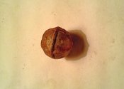 IMG_20131117_154634.jpg