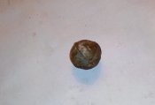 IMG_20131117_154552.jpg
