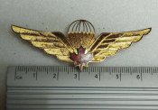 Канадские парашютисты с канадскими крыльями Jump Wings