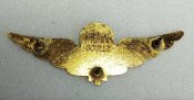 Канадские парашютисты с канадскими крыльями Jump Wings