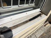 IMG_8407.jpeg