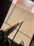 IMG_8400.jpeg