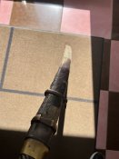 IMG_8396.jpeg