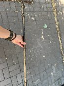 IMG_8410.jpeg