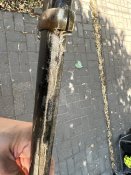 IMG_8413.jpeg