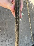 IMG_8415.jpeg
