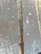 IMG_8418.jpeg