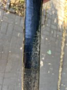 IMG_8421.jpeg