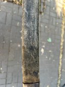 IMG_8419.jpeg