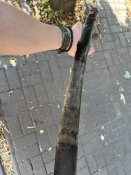 IMG_8425.jpeg