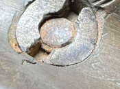 IMG_8473.jpeg