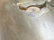 IMG_8472.jpeg