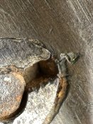 IMG_8453.jpeg