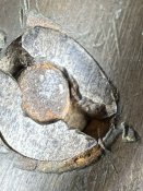 IMG_8451.jpeg