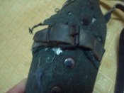 DSC01953.JPG