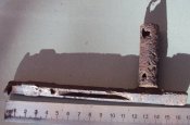DSC03442.JPG