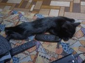 20240710_004052.jpg