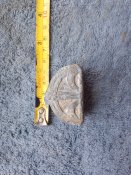 IMG_20240713_123006_022.jpg