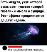 IMG_0660.jpeg