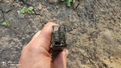 Магазін Bergmann MP 34/I , MP 35/I.