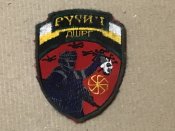 Шеврон дшрг русич