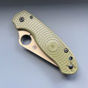 IMG_7375.jpeg