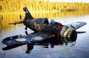 Finnish plane Korelia.jpg