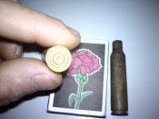 DSC03454.jpg