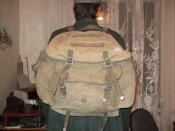 Изображение 355.jpg