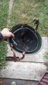 Шолом Румунія