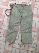Зимовий кацап
