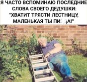 FB_IMG_1721761603436.jpg
