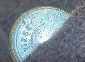 IMG_2135.jpeg