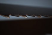 DSC_0200.JPG